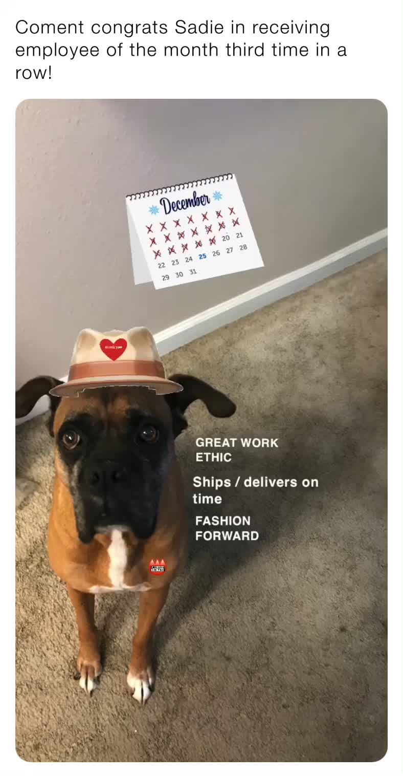 ​ #hashtagforhashtag ​ #instagram  #dogmemes  #dog  #boxermemes  #boxermemer