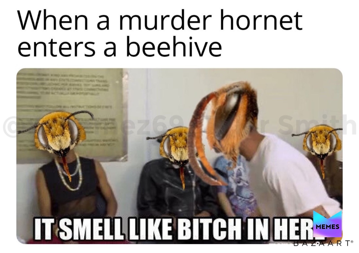 Meme by kingofmemes69