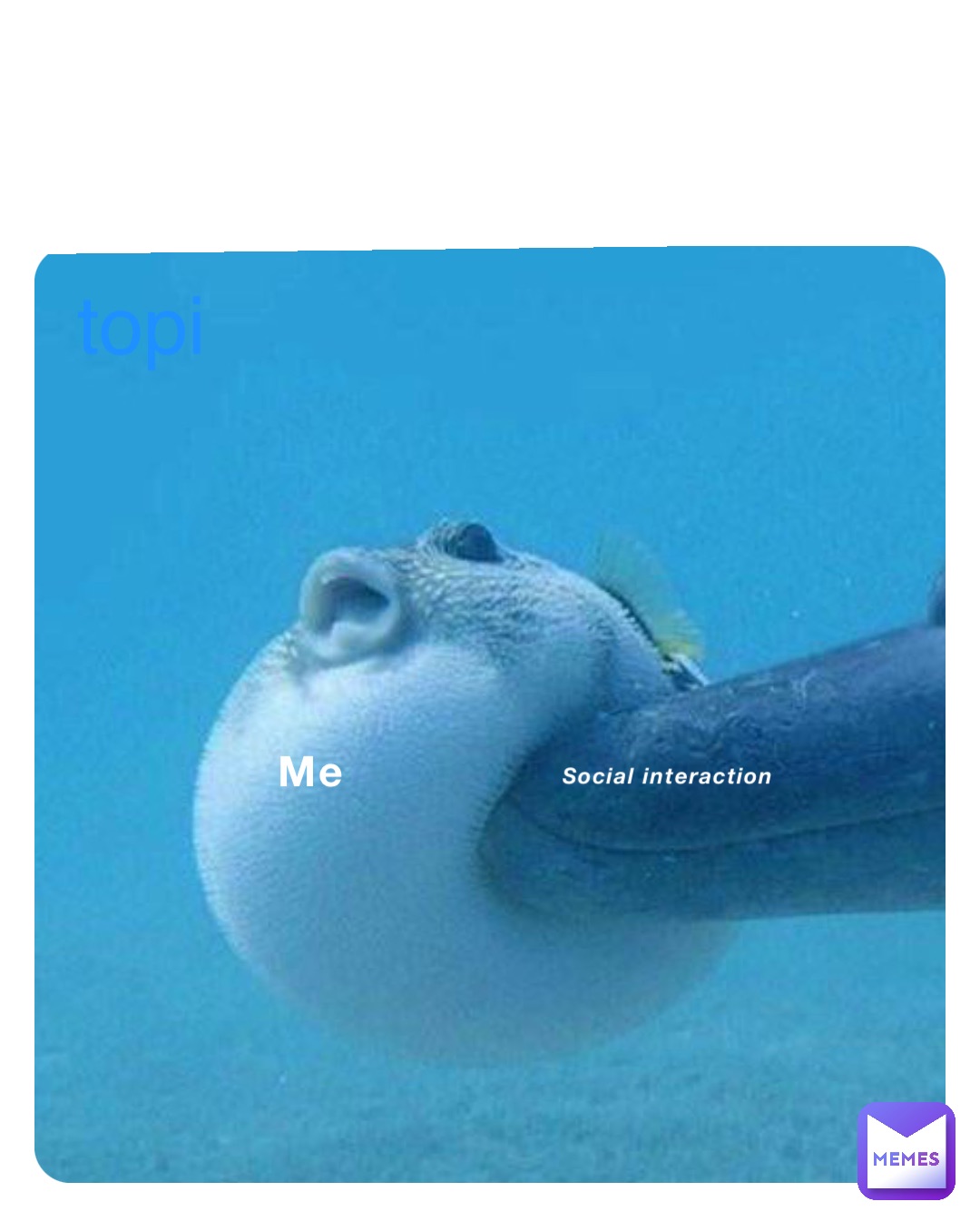 Me Social interaction