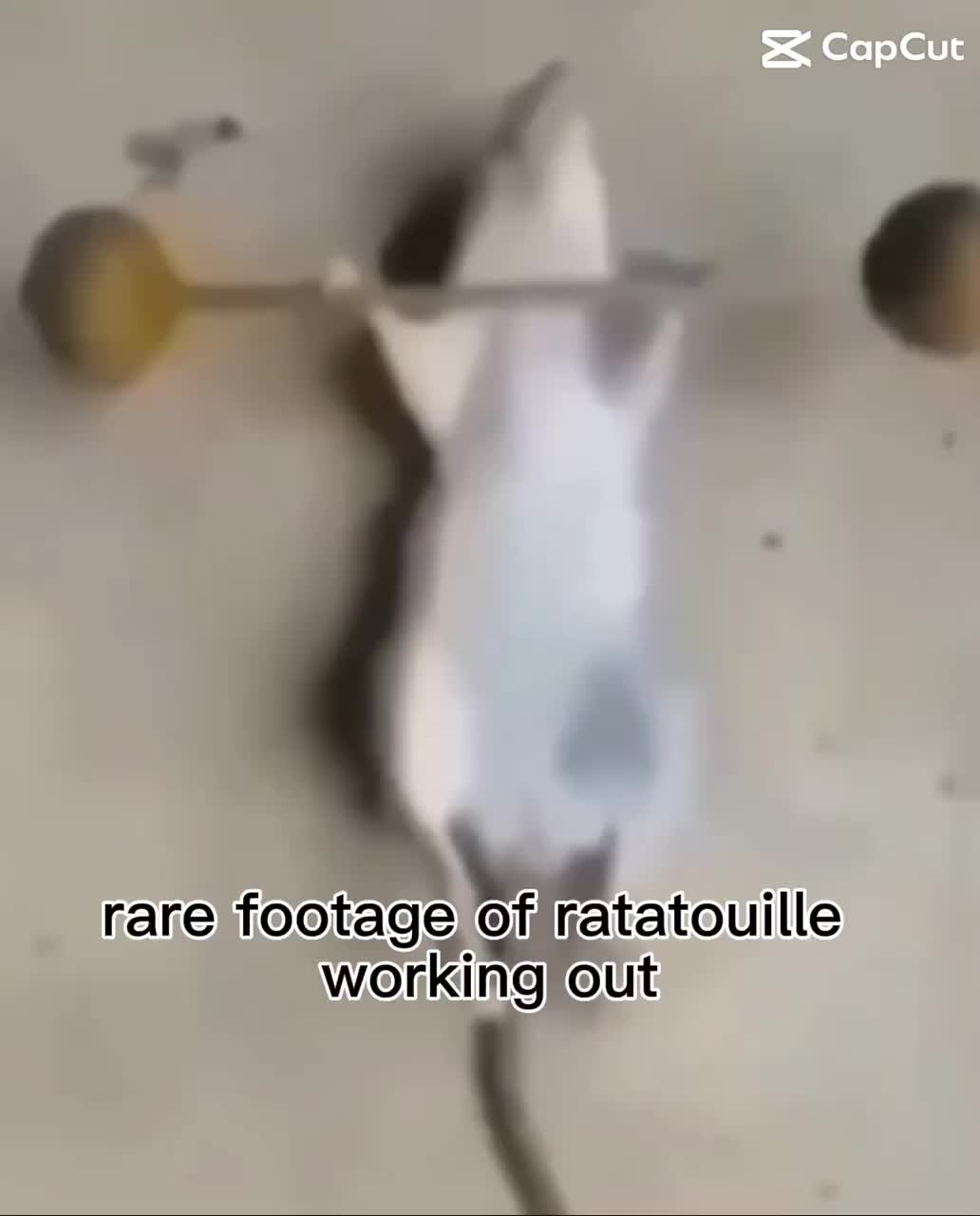 Meme preview