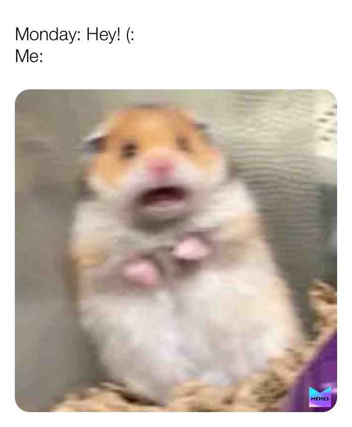 Always a pleasure.
#laughb4worry #university #monday #mood #memes #memesdaily