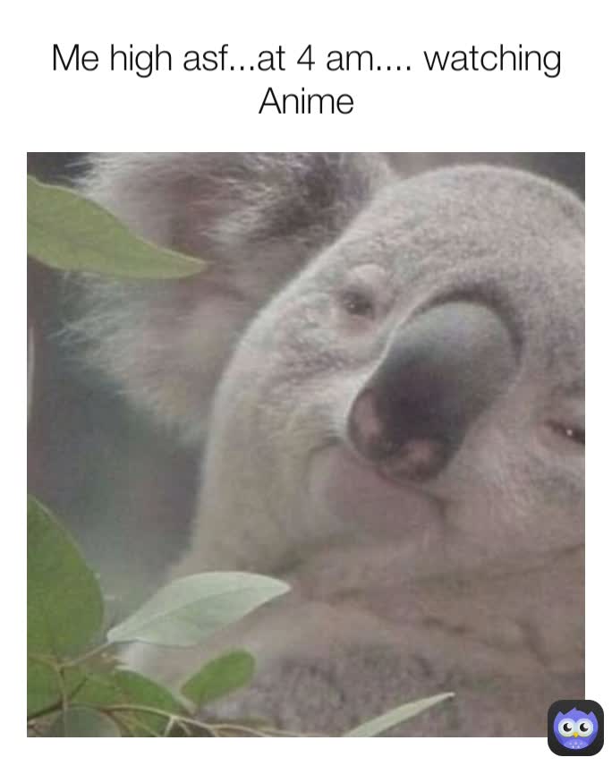 Me high asf...at 4 am.... watching Anime