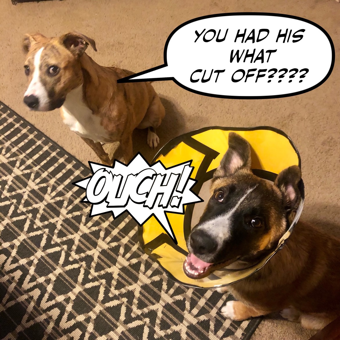 Meme by beth.vanderford80