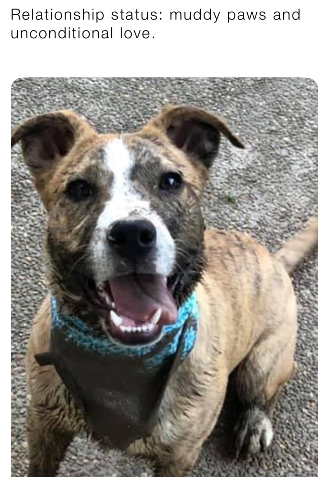 Meme by beth.vanderford80