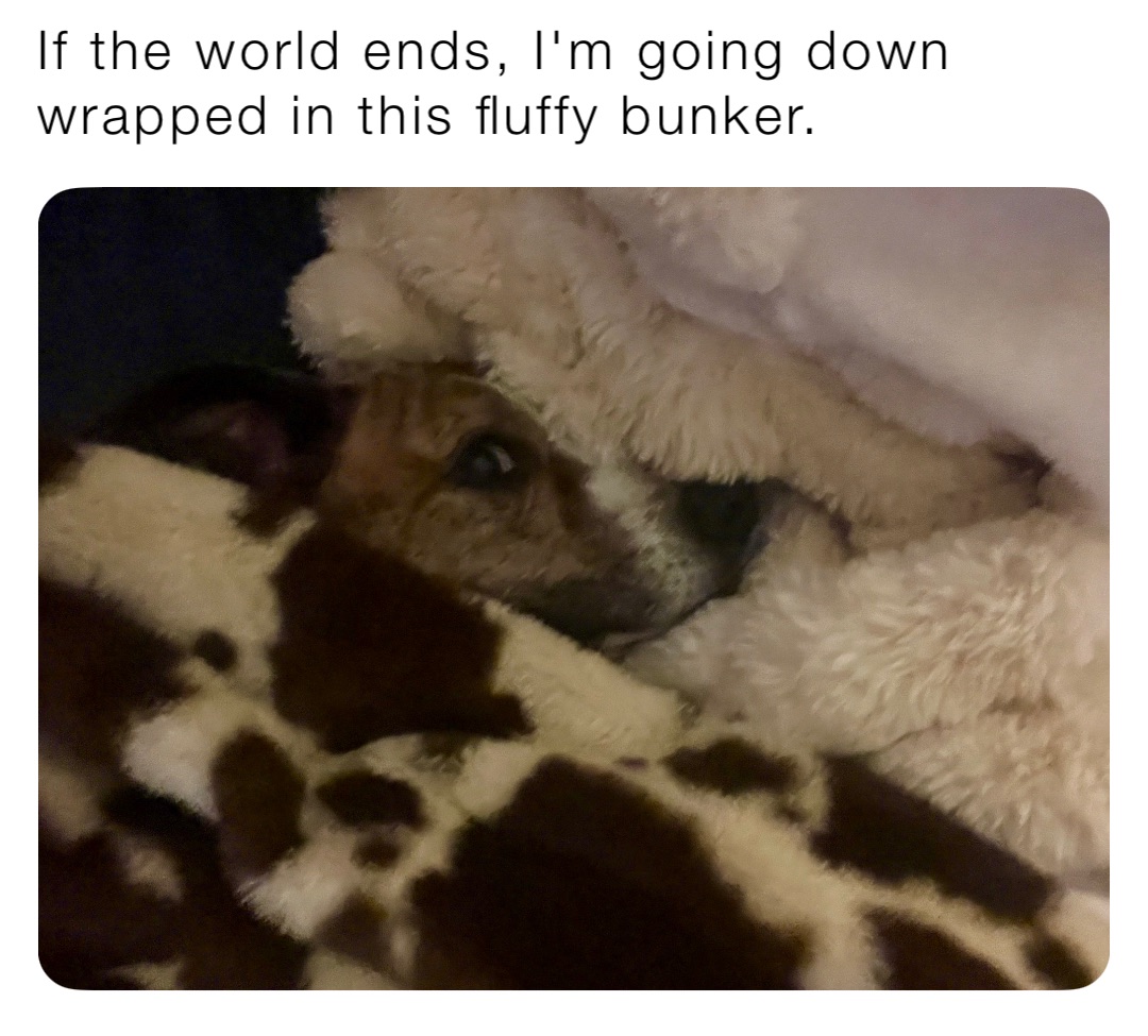 Meme by beth.vanderford80