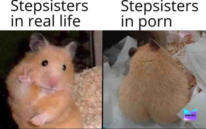 god please no #memes #meme #pleasefollow #pleaseno