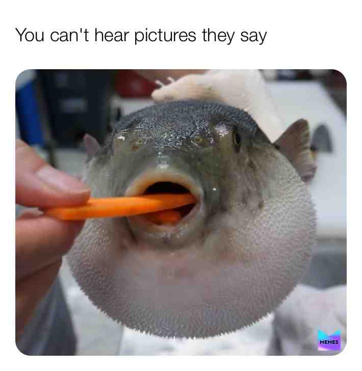 #meme #memes #pleasefollow #fish #swallow