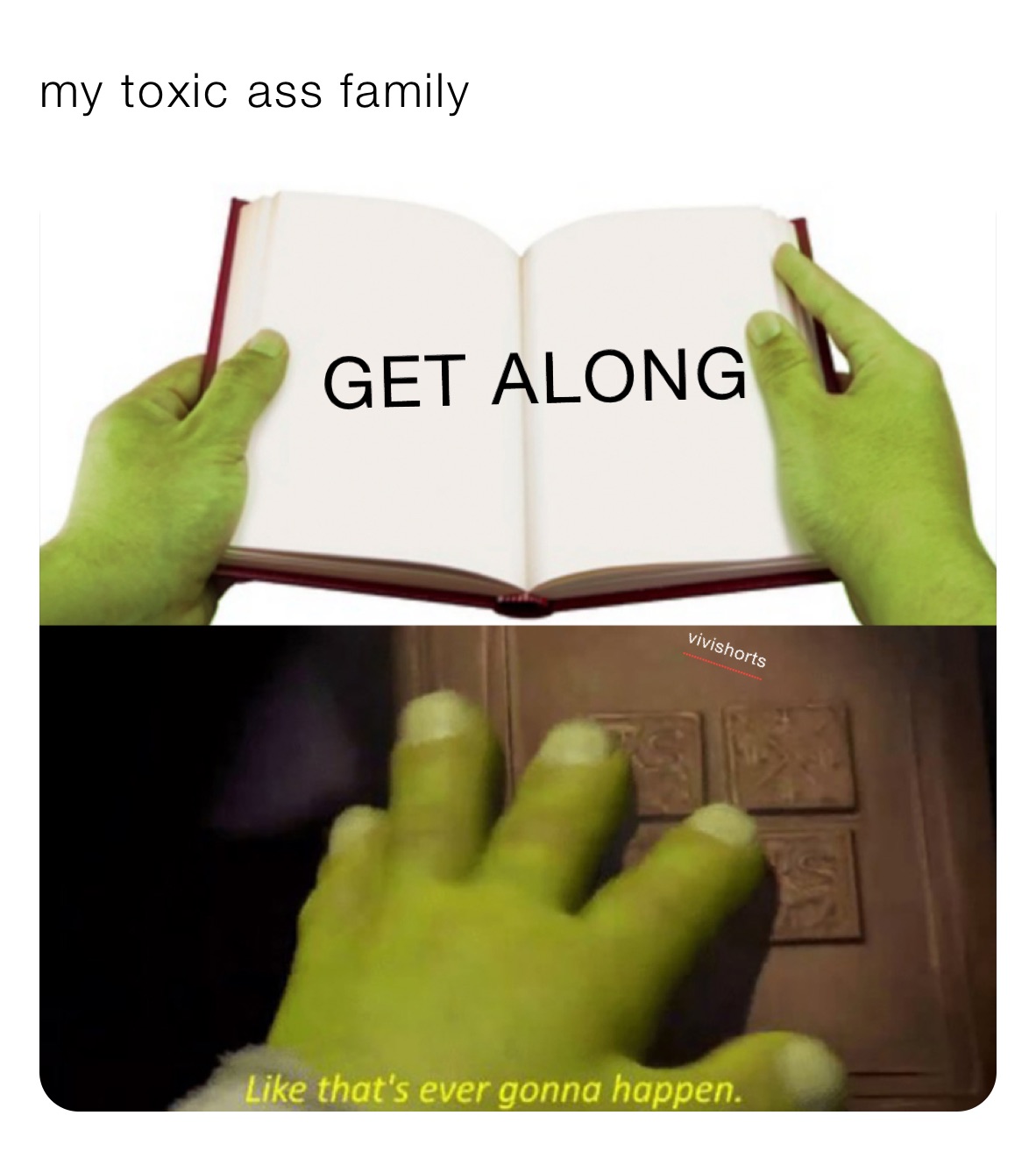 my toxic ass family 