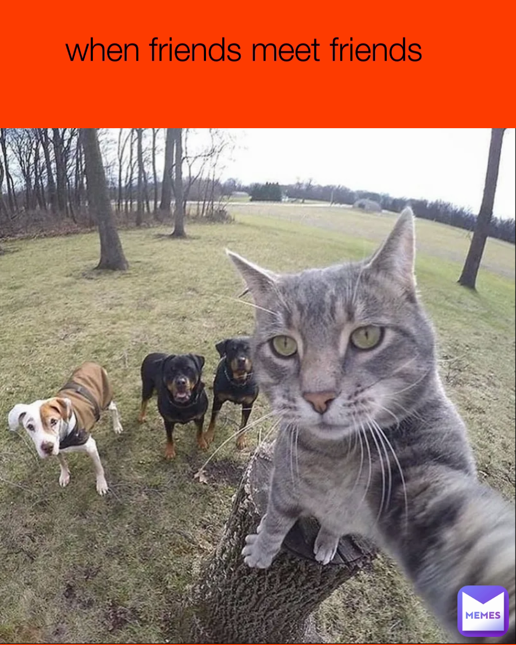 Meme by XoticKumul73K