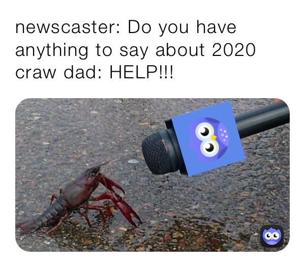 newscaster: Do you have anything to say about 2020 
craw dad: HELP!!!