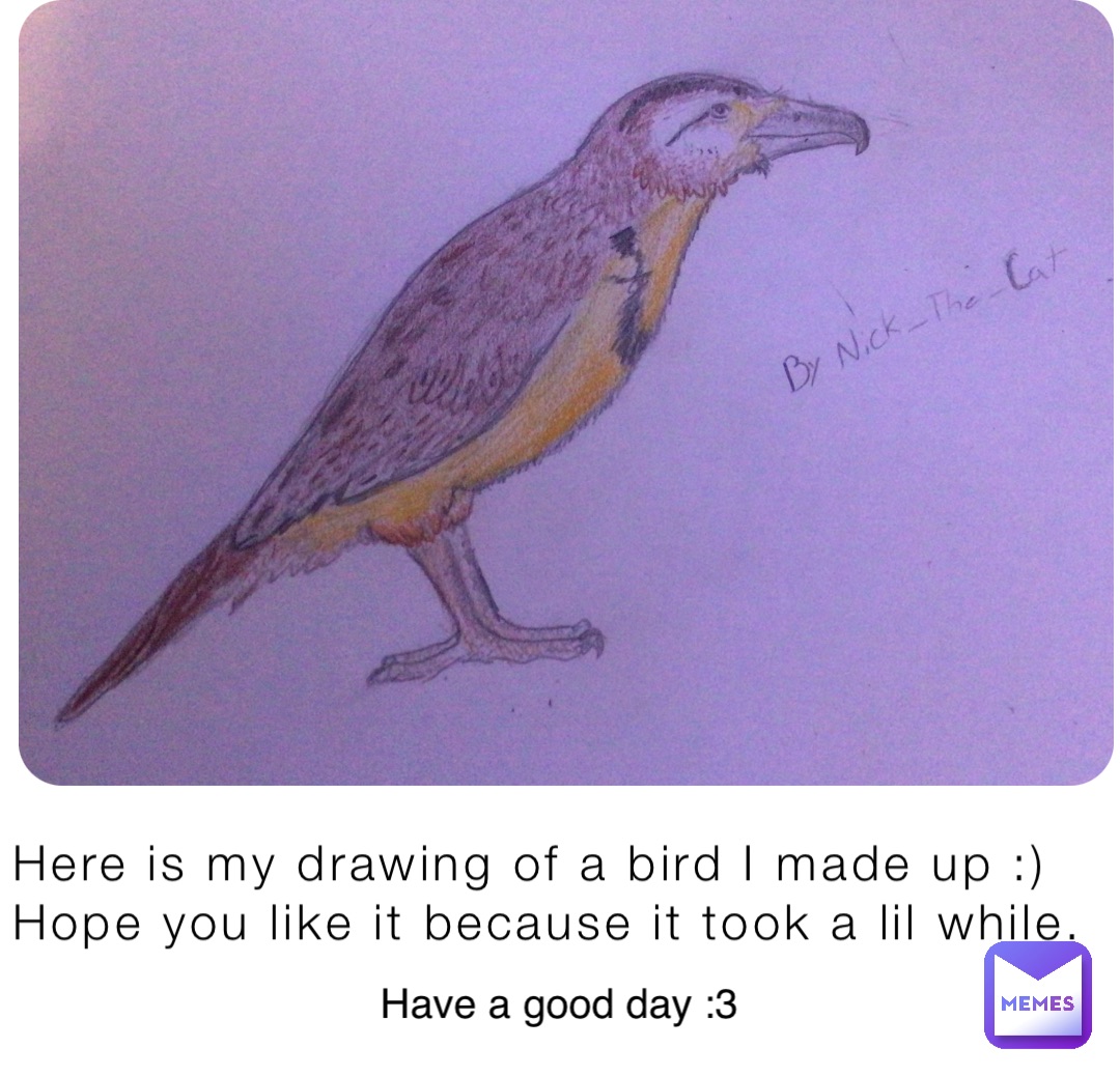 Here is my drawing of a bird I made up :) 
Hope you like it because it took a lil while. Have a good day :3
