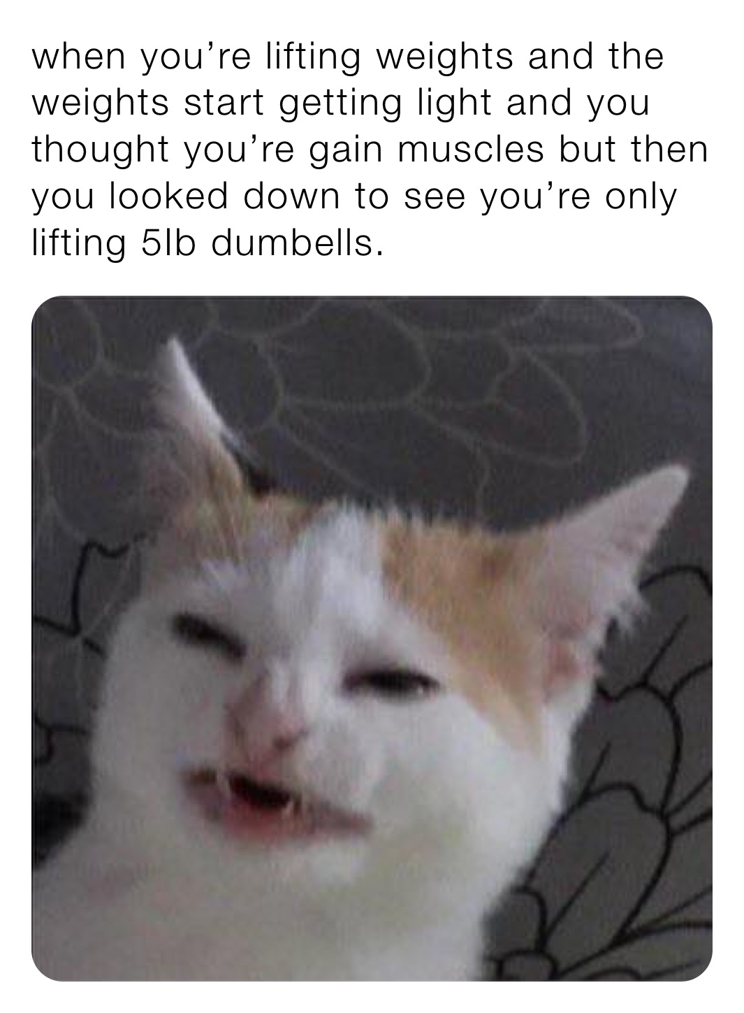 when you’re lifting weights and the weights start getting light and you thought you’re gain muscles but then you looked down to see you’re only
lifting 5Ib dumbells.