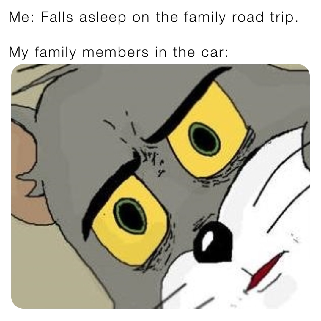 Me: Falls asleep on the family road trip.

My family members in the car: