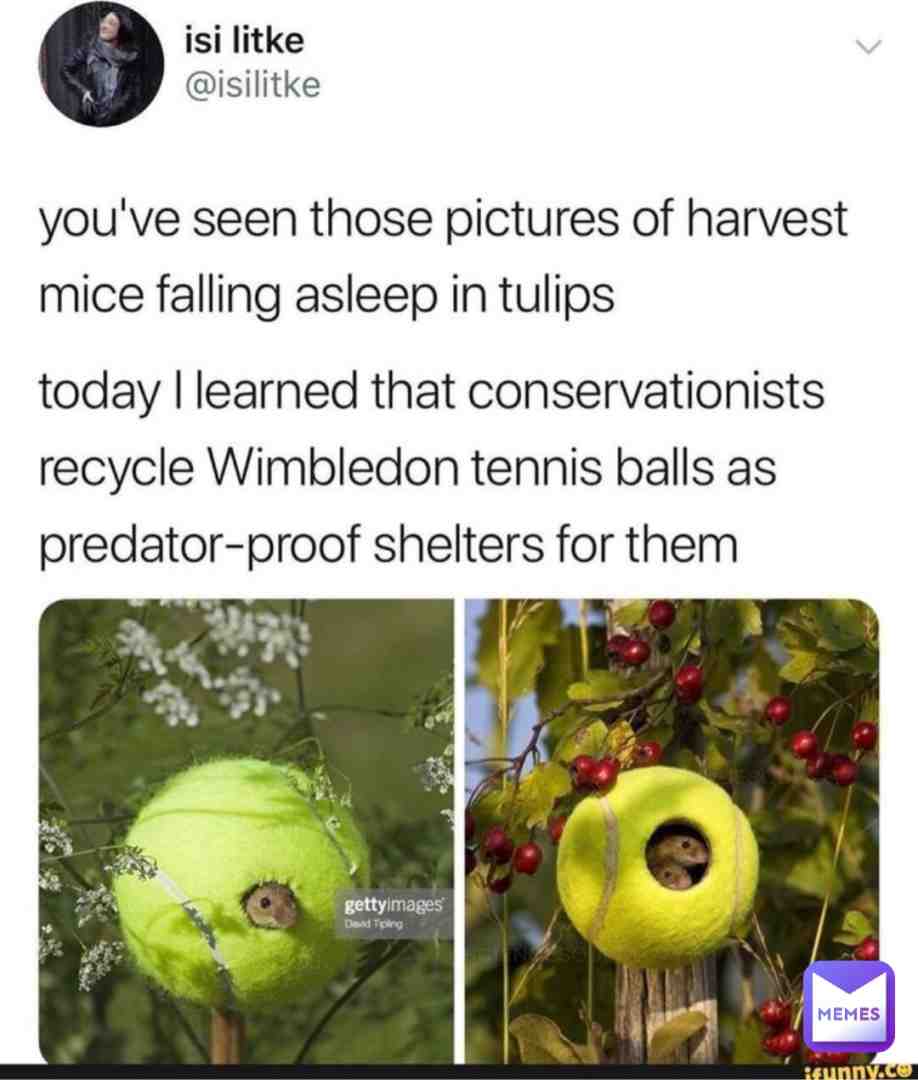 no