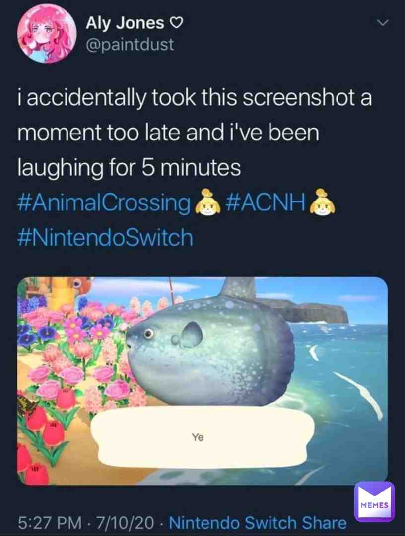 Meme shared by @notactiveanymore