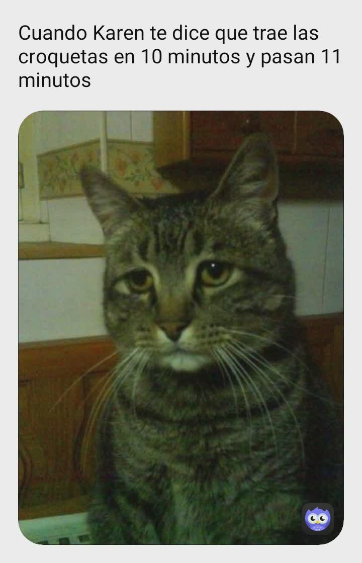 Meme by Michissonvida13