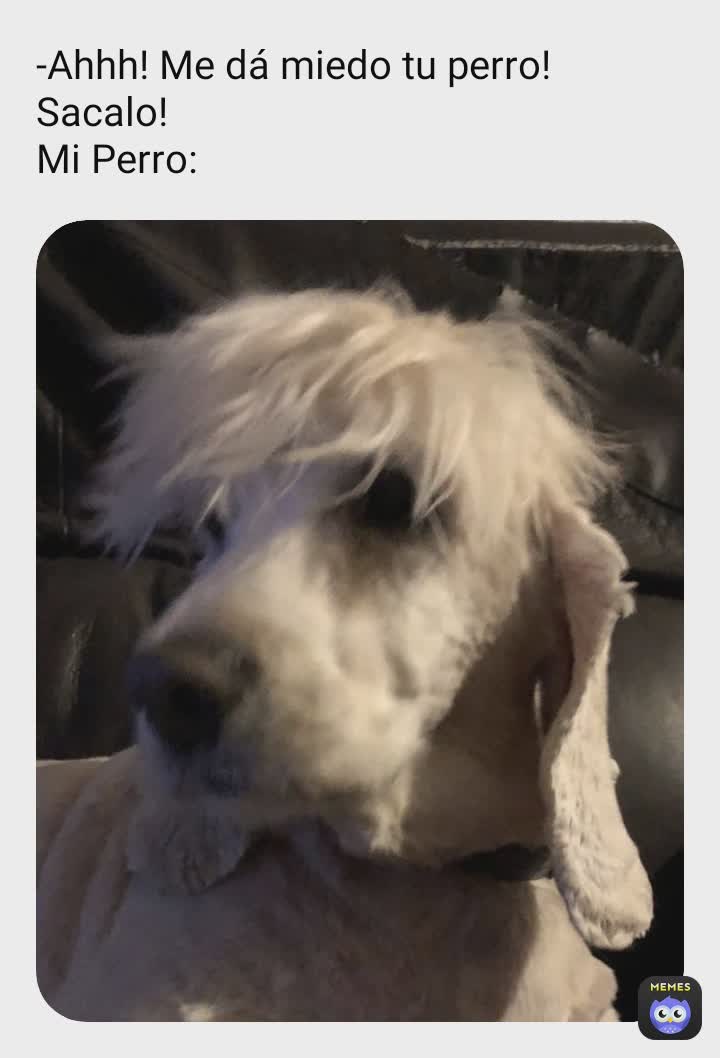 Meme by Michissonvida13