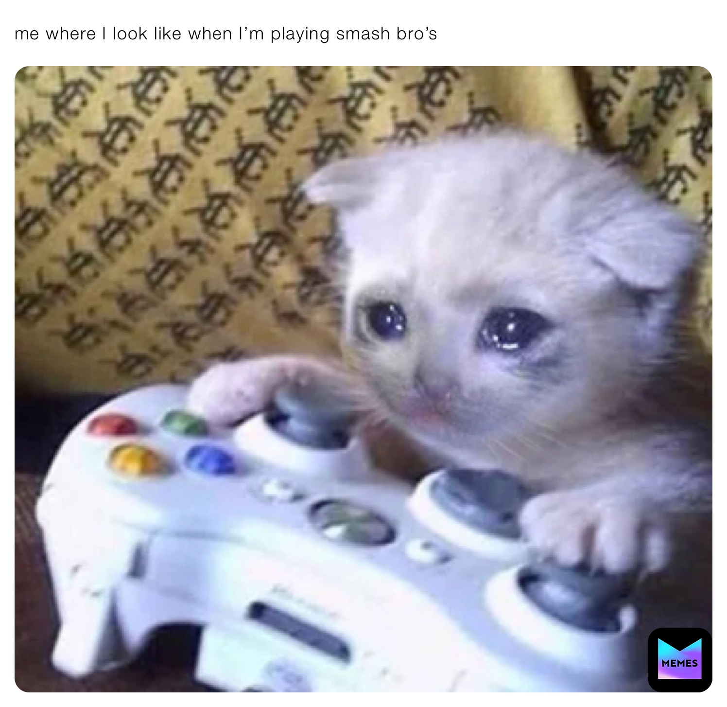 me where I look like when I’m playing smash bro’s￼