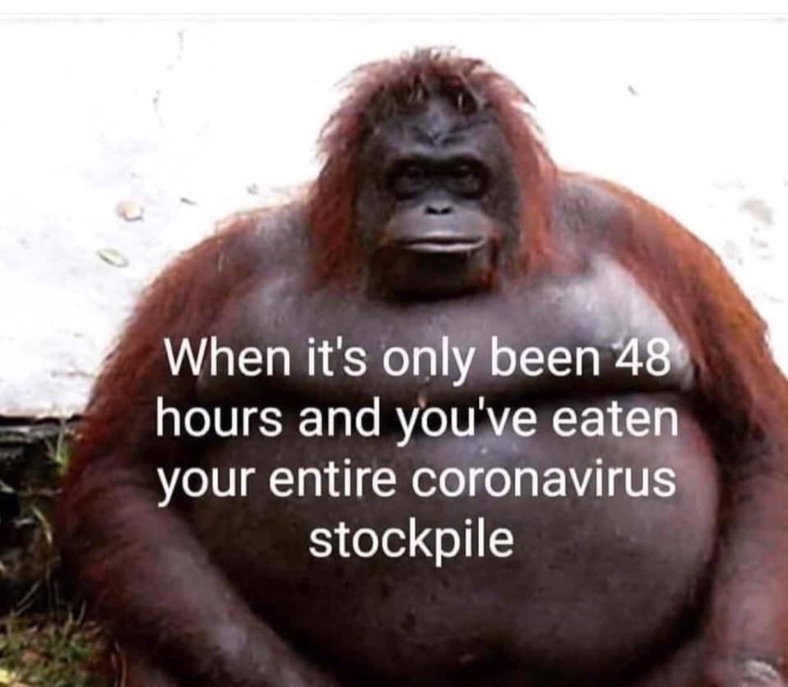 Meme by petersimondavid