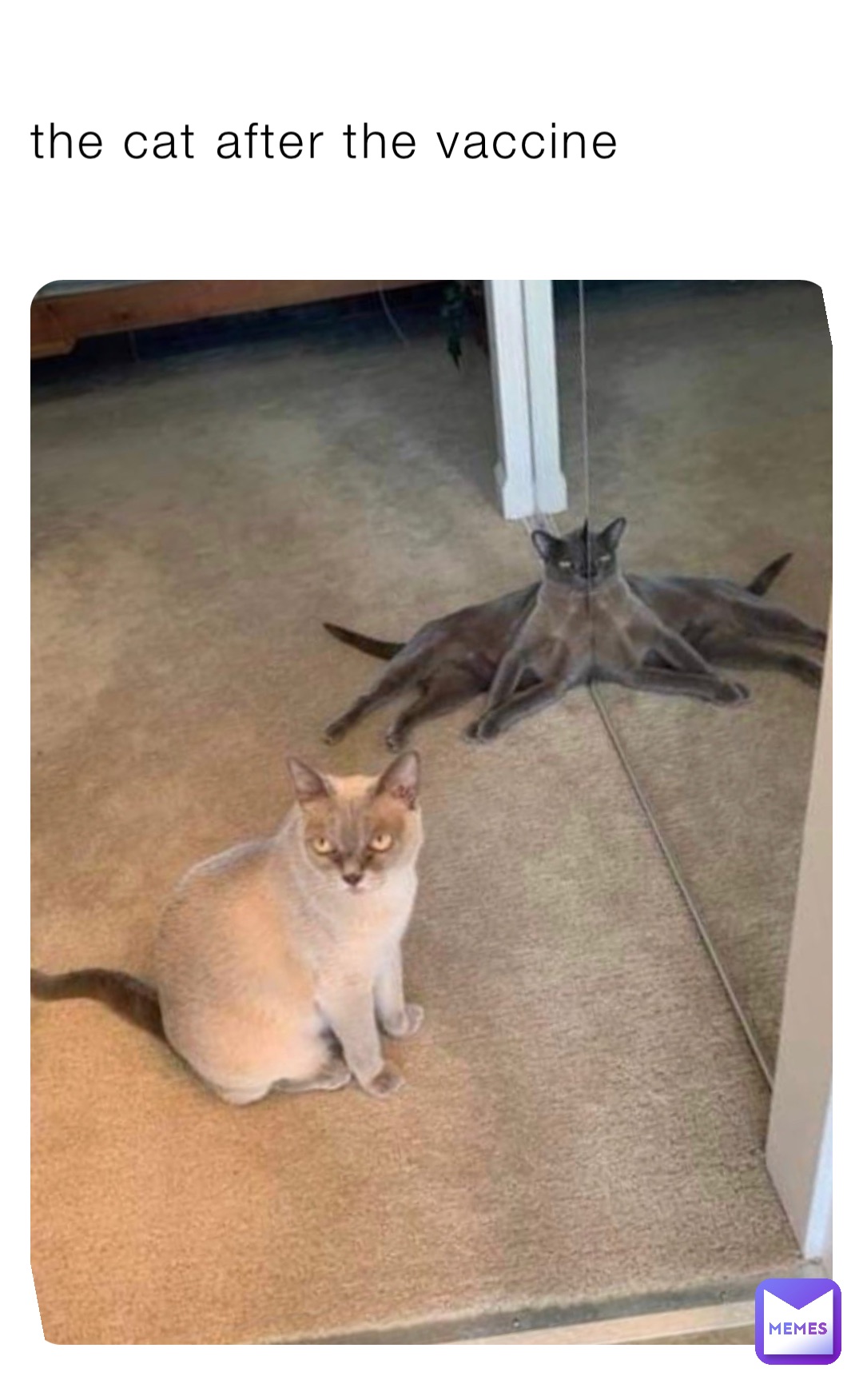 Meme by Mr.not_lemon