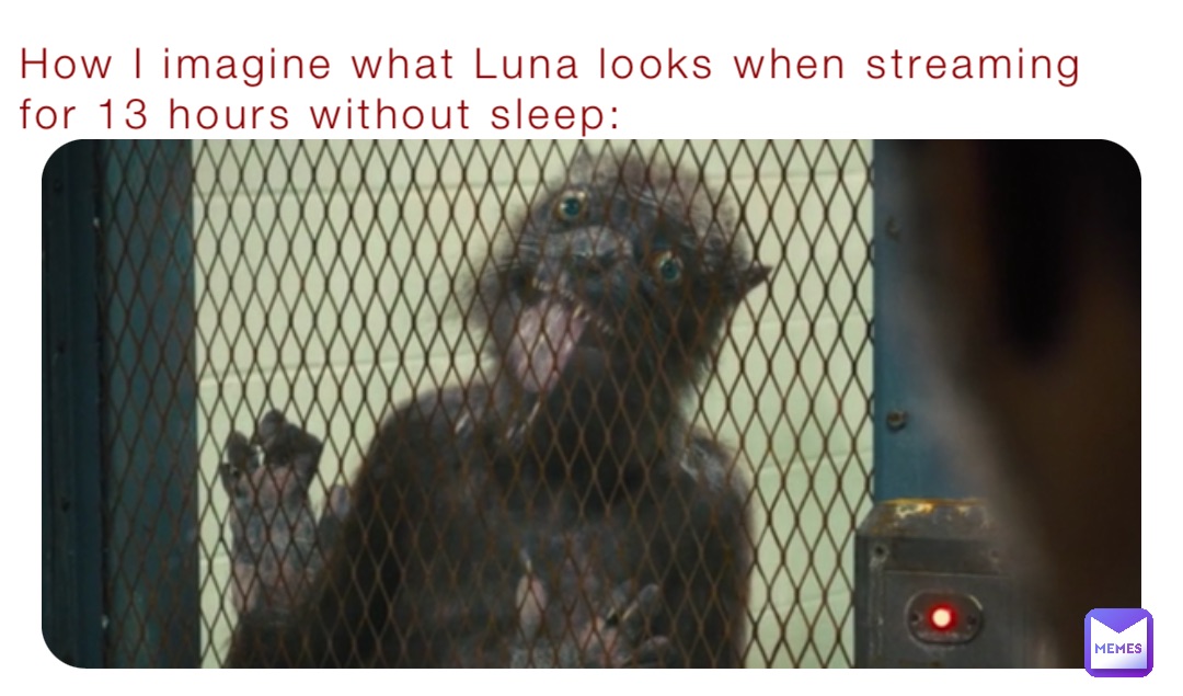 How I imagine what Luna looks when streaming for 13 hours without sleep: