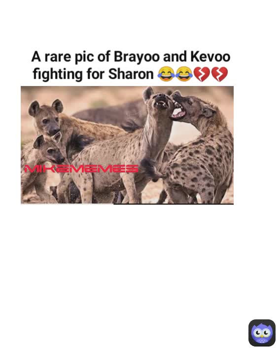 mikememes mikememes A rare pic of Brayoo and Kevoo fighting for Sharon 😂😂💔💔