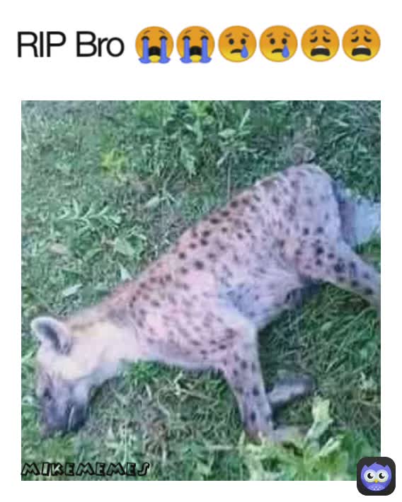 RIP Bro 😭😭😢😢😩😩 mikememes