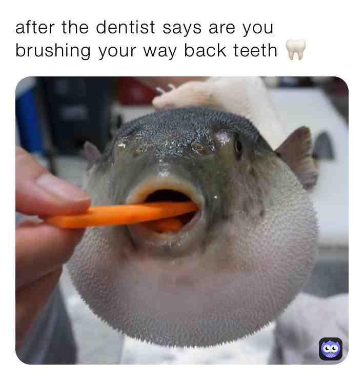 Meme shared by @earthinhabitant25