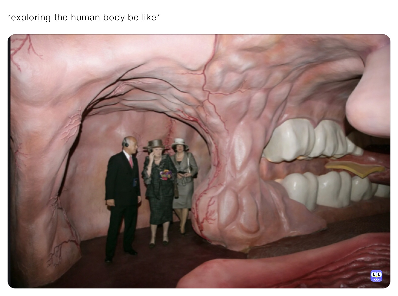 *exploring the human body be like*