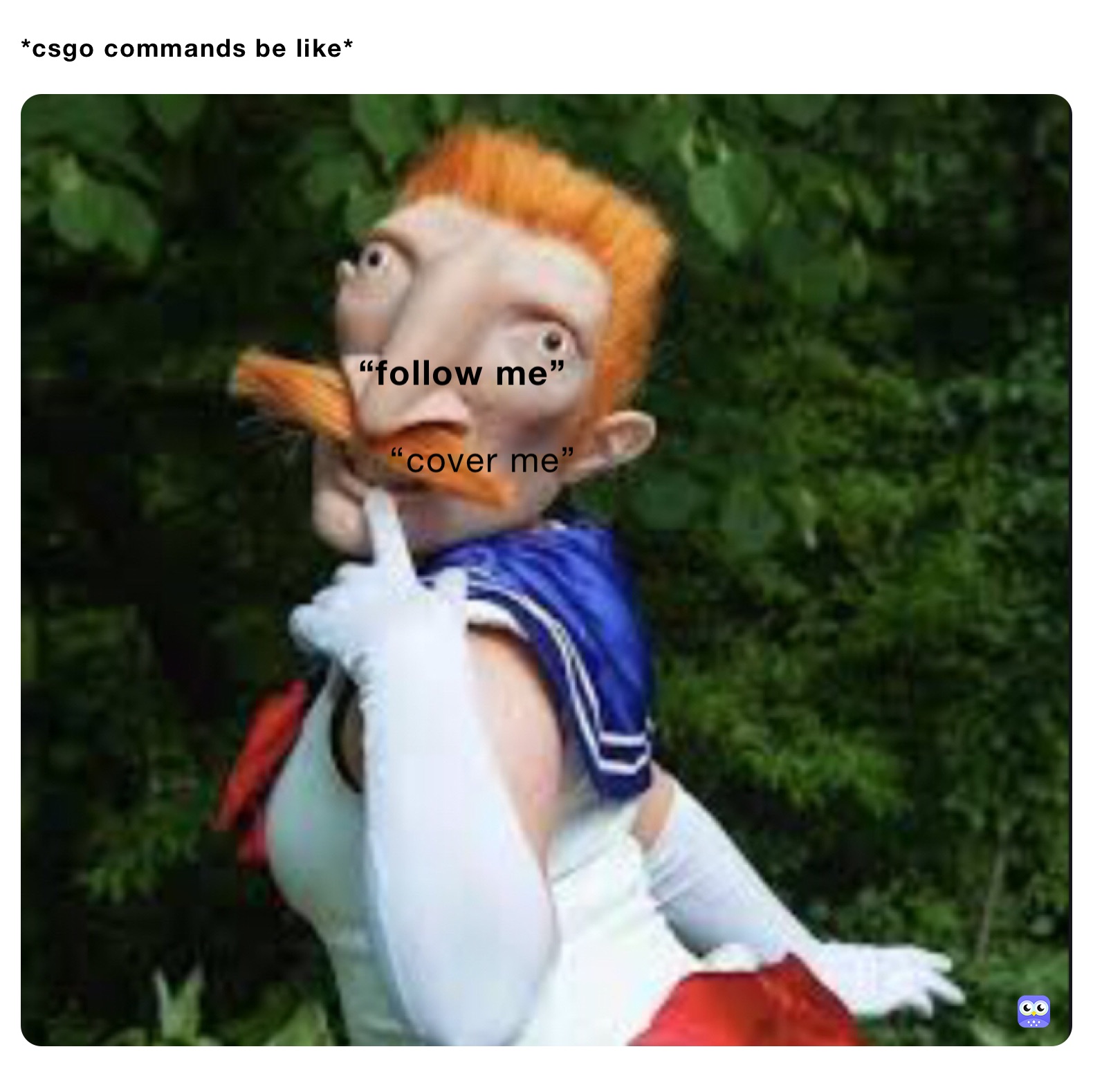 *csgo commands be like*