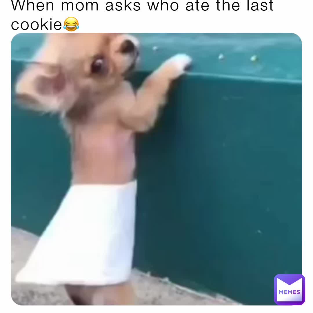 Meme preview