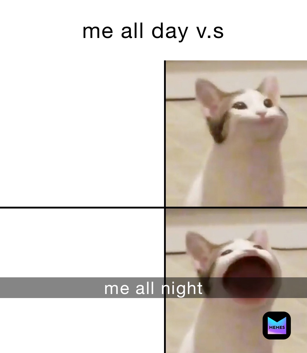 me all day v.s me all night