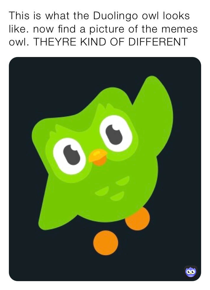 This is what the Duolingo owl looks like. now find a picture of the memes owl. THEYRE KIND OF DIFFERENT