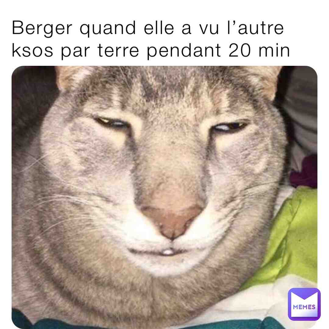 Meme shared by @nanapukka