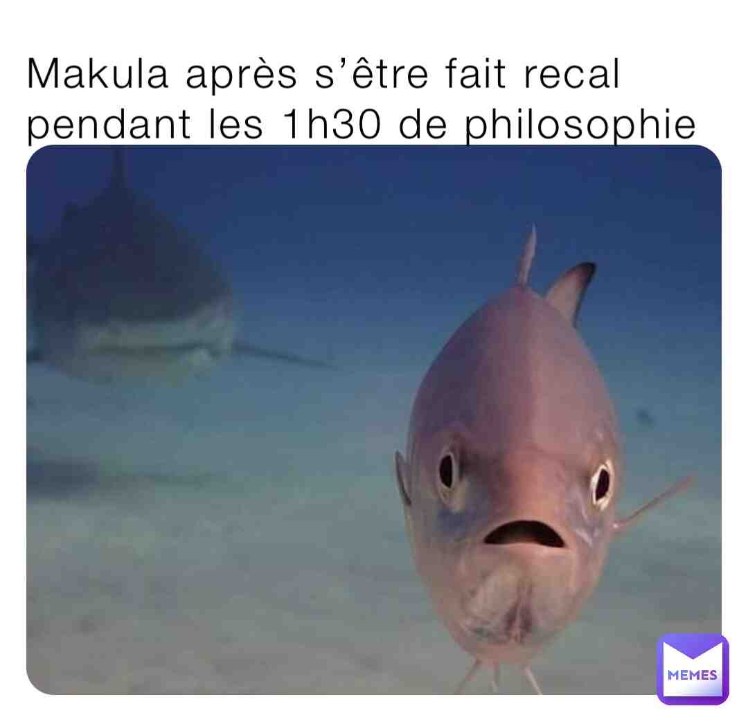 Meme shared by @nanapukka