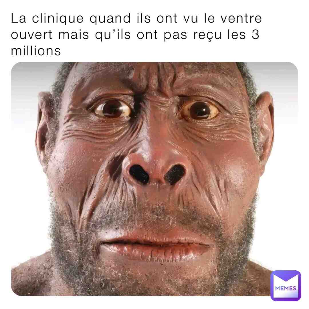 Meme shared by @nanapukka