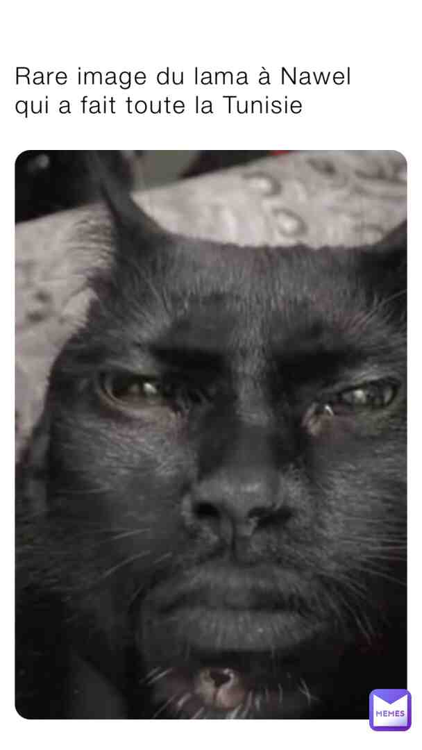 Meme shared by @nanapukka