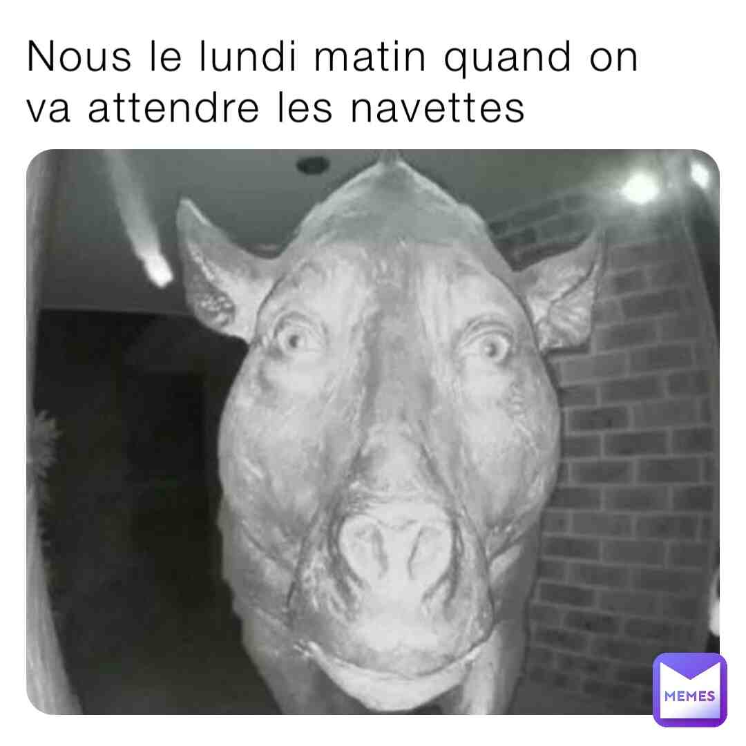 Meme shared by @nanapukka