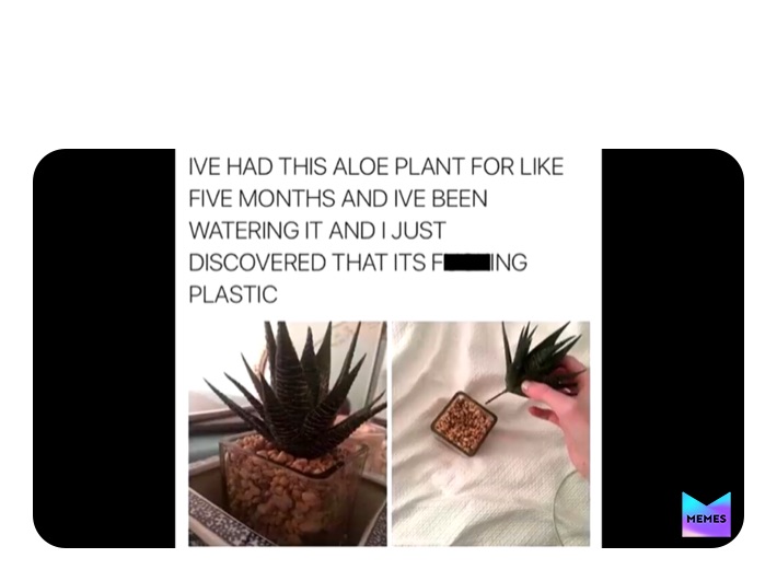 Meme by canned_bread