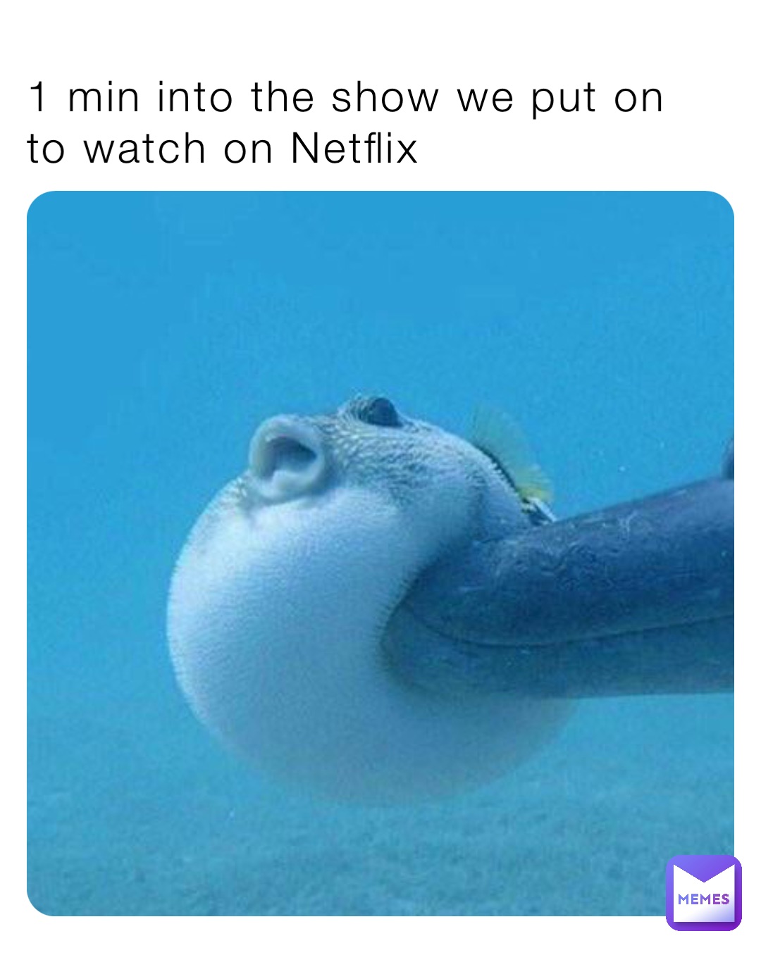 1 min into the show we put on to watch on Netflix