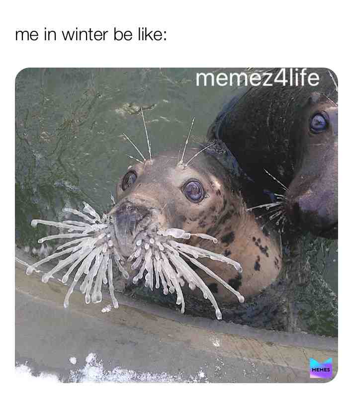 ​ #winter ​ #ice
