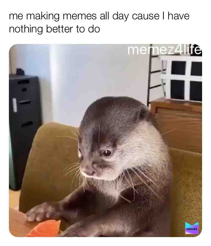 #imbored  #memes