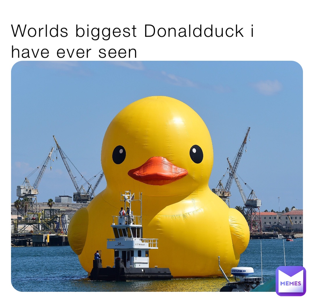 Worlds biggest Donaldduck i have ever seen