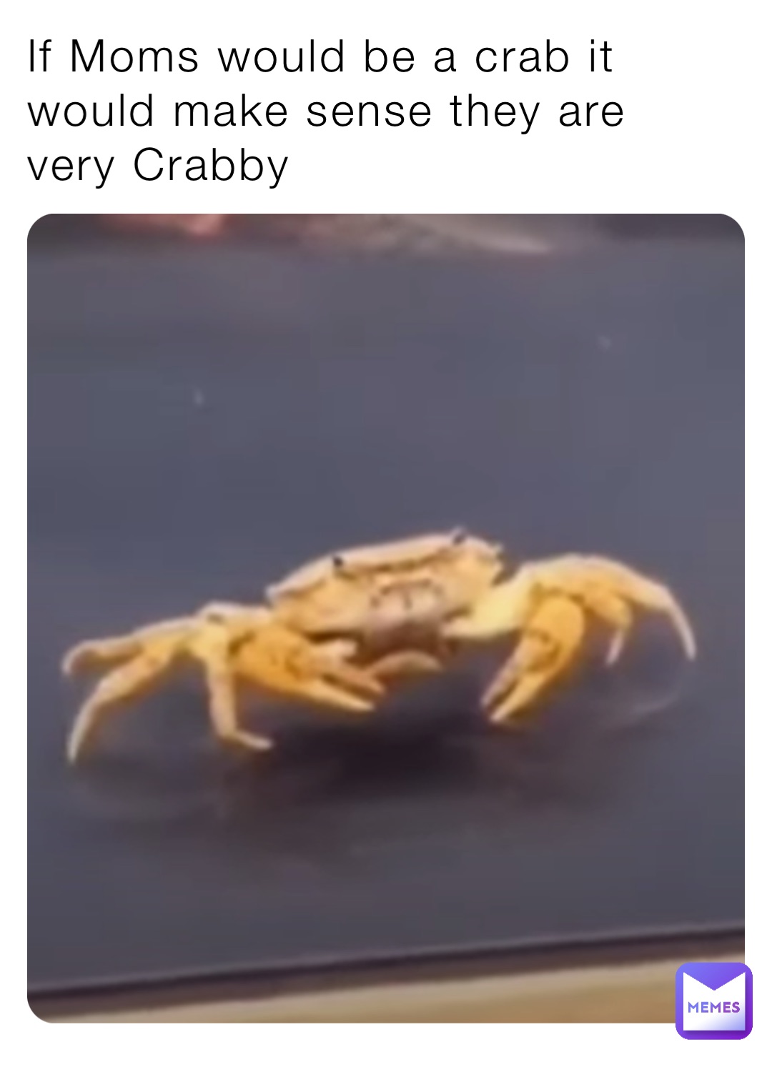 If Moms would be a crab it would make sense they are very Crabby