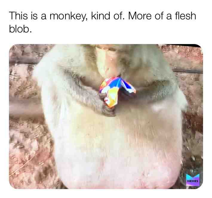 #memes  #meme  #comedy  #KrisPBacON