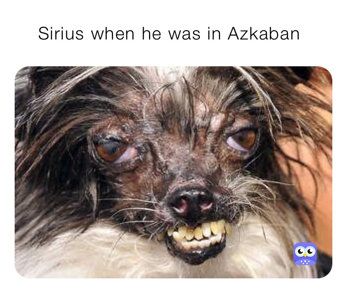     Sirius when he was in Azkaban 