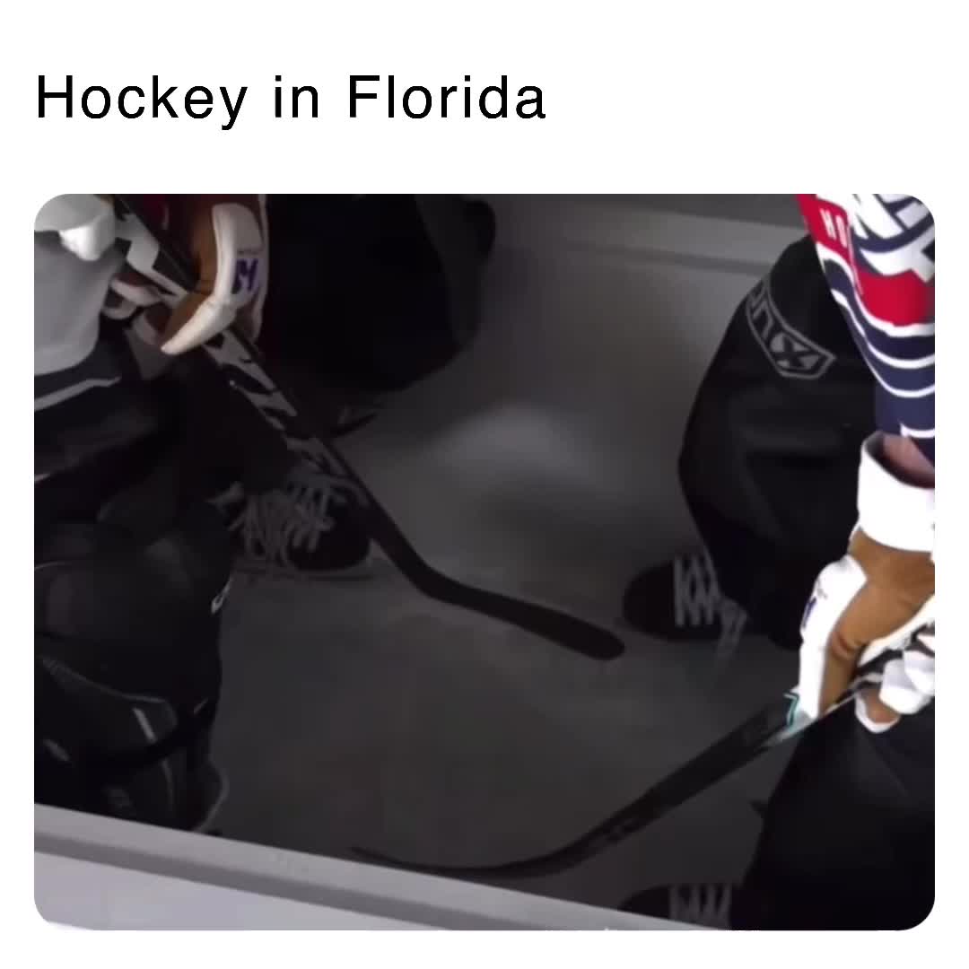 mf looks cold   #meme  #memes  #hockey  #florida