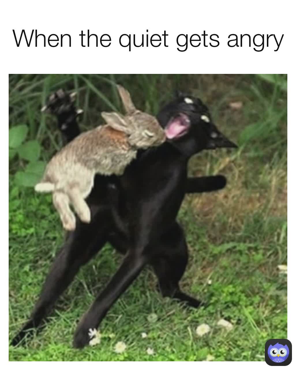 When the quiet gets angry