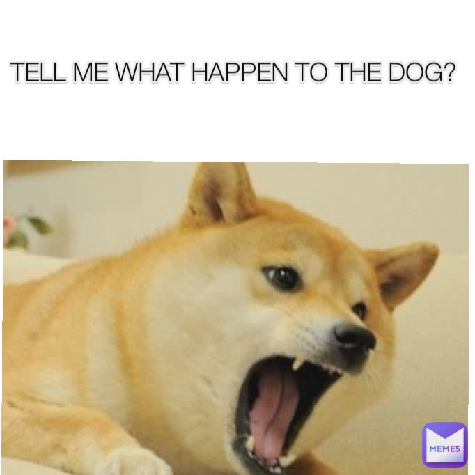 TELL ME WHAT HAPPEN TO THE DOG?