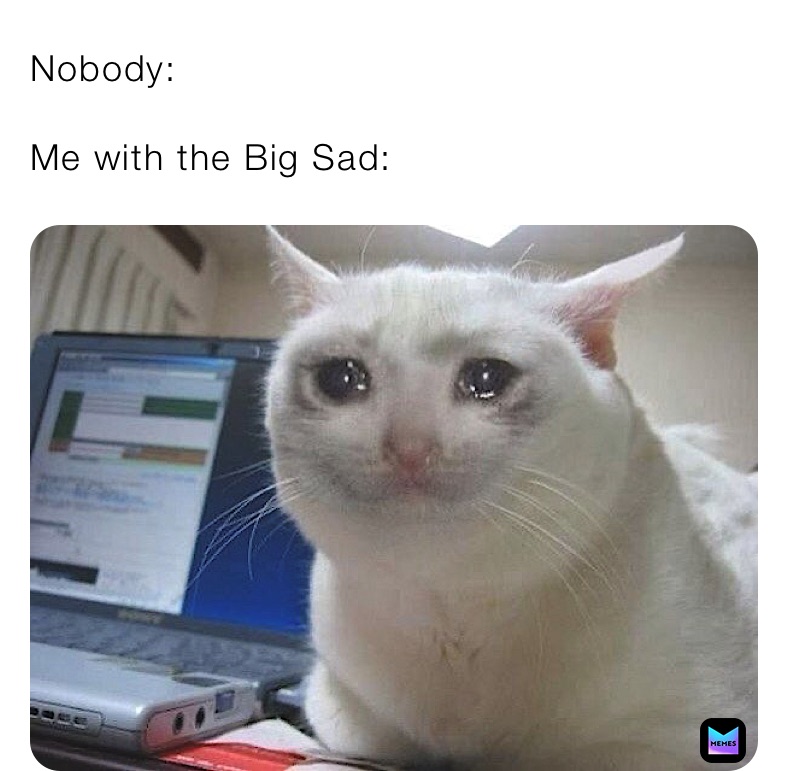 Nobody:

Me with the Big Sad: